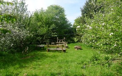 Hagrid’s Fireplace among the apple blossom